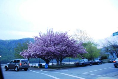ir-110503_19-49_2256.jpg