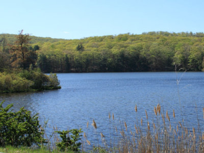 ir-110509__2509_16-08L.jpg