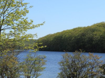 ir-110509__2515_16-15L.jpg