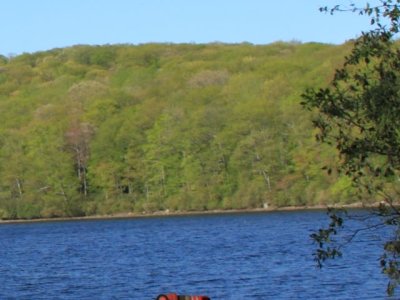 ir-110509__2528_17-29L.jpg