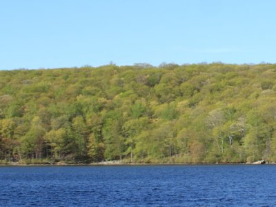 ir-110509__2529_17-32L.jpg