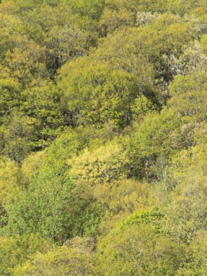 ir-110509__2530_17-33P.jpg