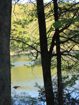ir-110509__2534_17-38P.jpg