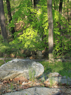 ir-110509__2539_17-48P.jpg