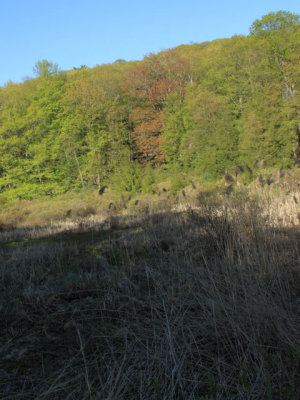 ir-110509__2541_17-53P.jpg