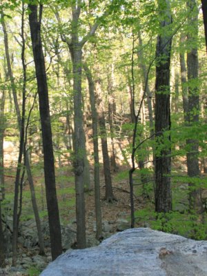 ir-110509__2545_18-02P.jpg