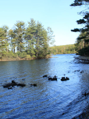 ir-110509__2552_18-22P.jpg