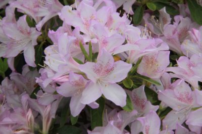 ir-110511_11-39_2576.jpg