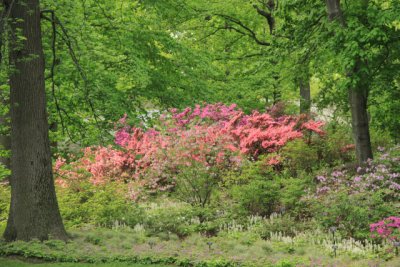 ir-110511_11-48_2580.jpg