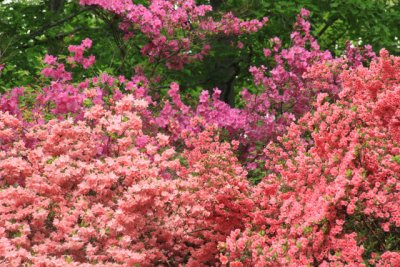 ir-110511_11-50_2583.jpg