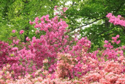 ir-110511_11-50_2584.jpg