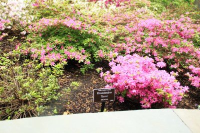 ir-110511_11-56_2593.jpg