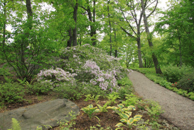 ir-110511_11-57_2594.jpg