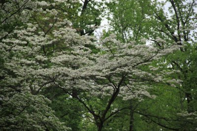 ir-110511_12-10_2609.jpg