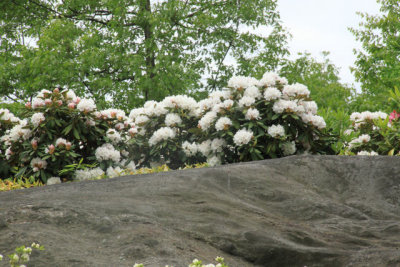 ir-110511_12-16_2618.jpg