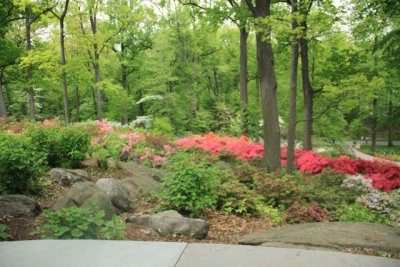 ir-110511_12-26_2631.jpg