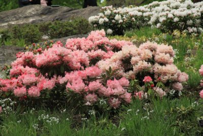 ir-110511_12-27_2634.jpg