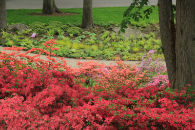 ir-110511_12-28_2636.jpg