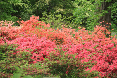 ir-110511_12-31_2639.jpg
