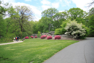 ir-110511_12-41_2643.jpg