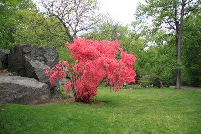 ir-110511_12-42_2644.jpg