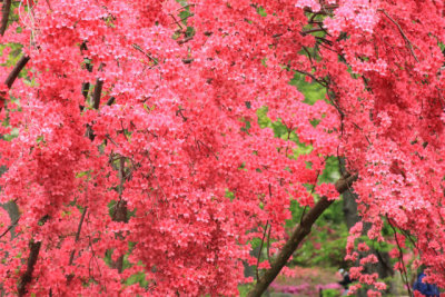ir-110511_12-43_2647.jpg
