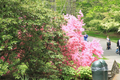 ir-110511_12-51_2652.jpg