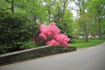 ir-110511_12-52_2654.jpg