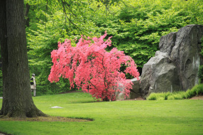 ir-110511_12-53_2655.jpg