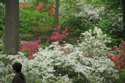 ir-110511_12-54_2660.jpg