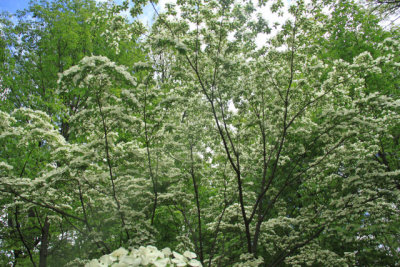 ir-110511_12-56_2663.jpg