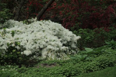 ir-110511_12-56_2664.jpg