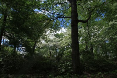 ir-110511_12-59_2666.jpg
