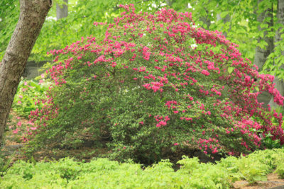ir-110511_13-00_2667.jpg