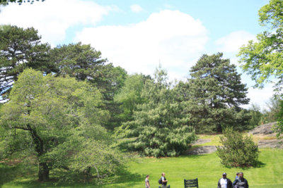 ir-110511_13-18_2669.jpg
