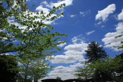 ir-110511_13-19_2670.jpg