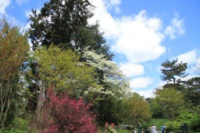 ir-110511_13-35_2691.jpg