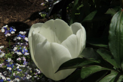ir-110511_13-41_2699.jpg
