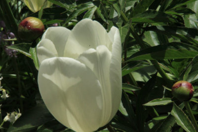 ir-110511_13-42_2702.jpg