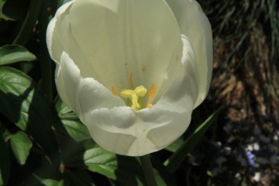 ir-110511_13-43_2703.jpg