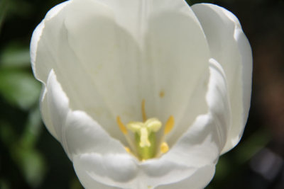 ir-110511_13-46_2707.jpg