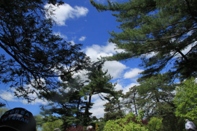 ir-110511_14-07_2727.jpg