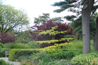 ir-110511_14-23_2735.jpg