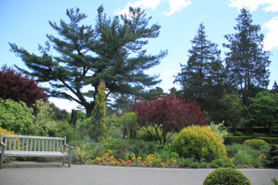 ir-110511_14-25_2739.jpg