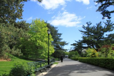 ir-110511_14-37_2748.jpg