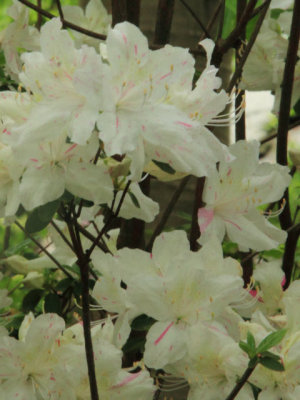 ir-110511_11-53_2588P.jpg