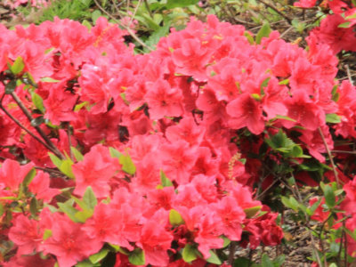 ir-110511_12-19_2619L.jpg