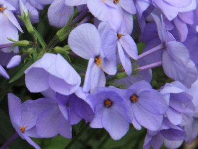 ir-110511_12-23_2624L.jpg