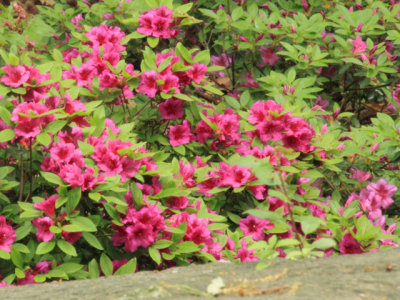 ir-110511_12-27_2633L.jpg