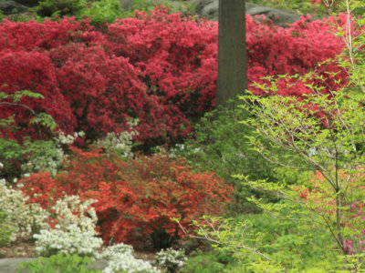 ir-110511_12-52_2653L.jpg